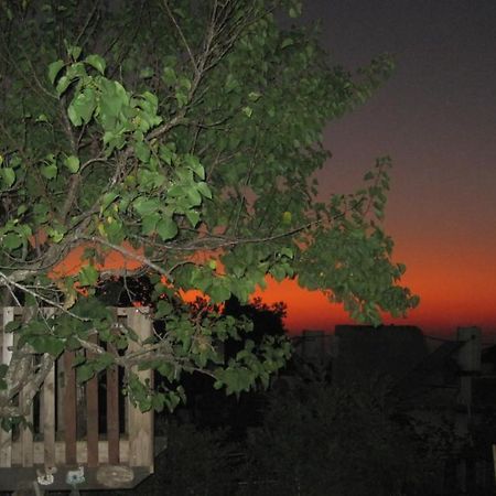 The House By The Mulberry Tree Daire Neve Ilan Dış mekan fotoğraf