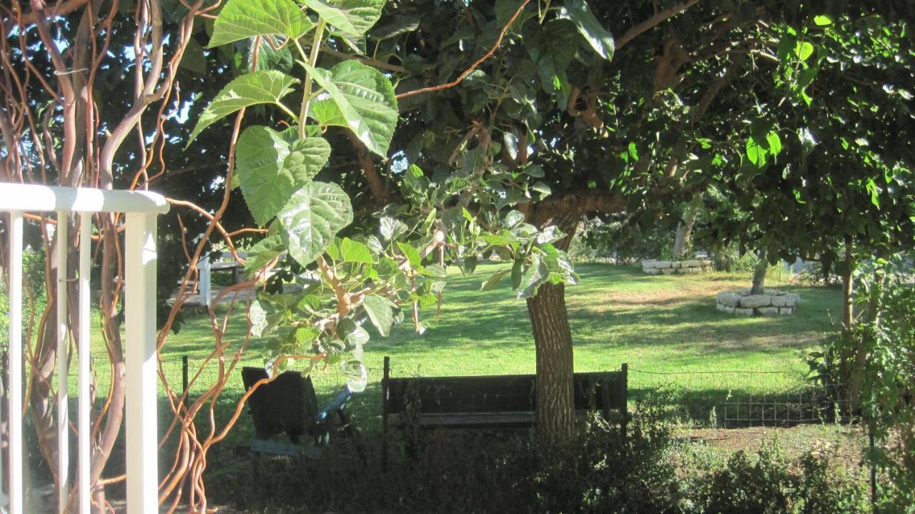 The House By The Mulberry Tree Daire Neve Ilan Dış mekan fotoğraf