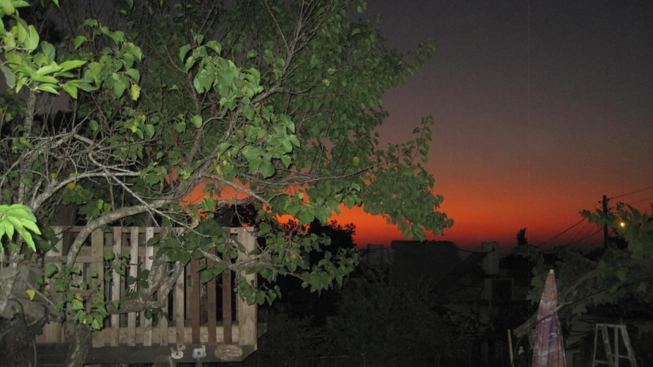 The House By The Mulberry Tree Daire Neve Ilan Dış mekan fotoğraf